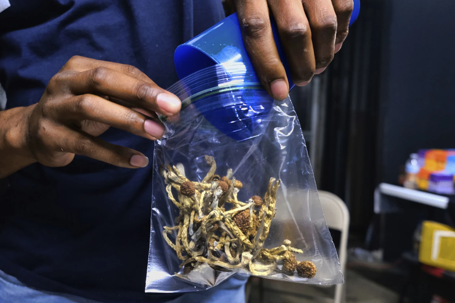 Dried Magic mushroom