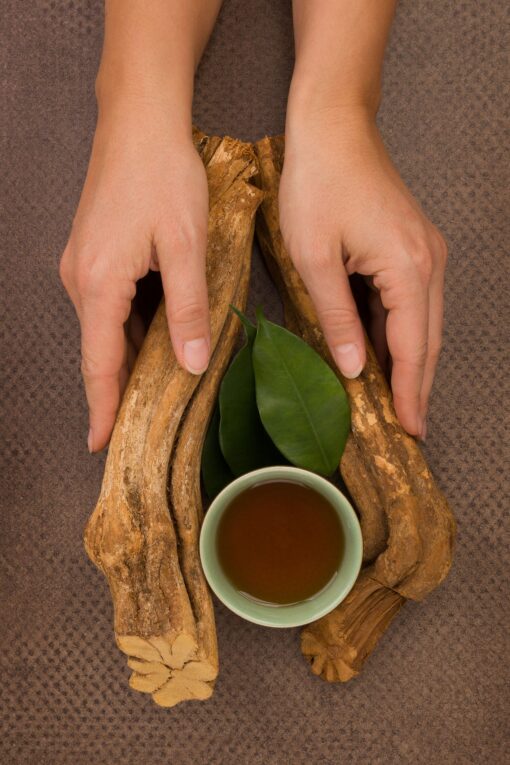 Buy Soul Herbs: | Ayahuasca online in Oregon,USA