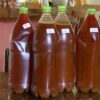 Buy Ayahuasca Tea Online in Oregon,USA