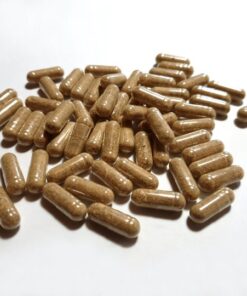 IBOGA CAPSULES