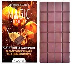 Magic Mushies Chocolate Bar For Sale in Oregon